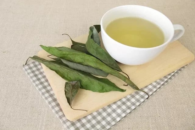 Công dụng của trà lá bơ