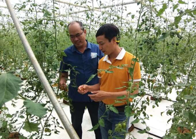 Bảo đảm an toàn thực phẩm từ gốc - Xây dựng hệ thống sản xuất, cung ứng sạch