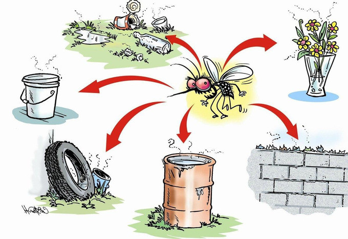 Lào Cai tăng cường triển khai các hoạt động nhằm phòng ngừa sốt rét quay trở lại