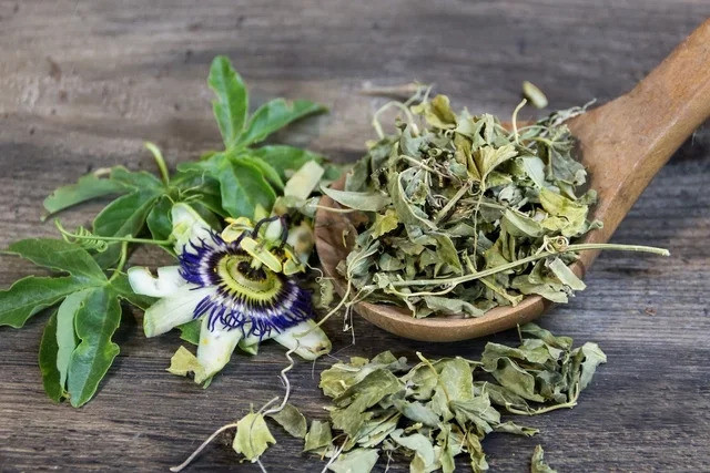 Tác dụng chữa bệnh của hoa lạc tiên