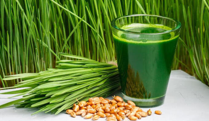 Bài thuốc thải độc hỗ trợ điều trị bệnh ung thư