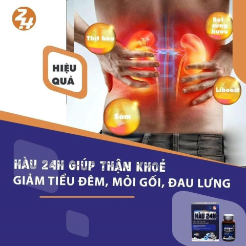 Tác dụng tích cực của tinh chất hàu với bổ thận và giảm đau lưng, mỏi gối