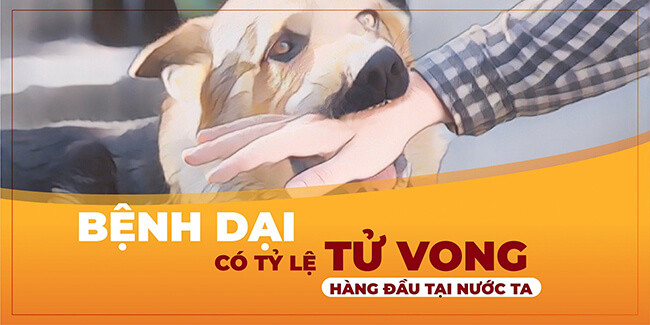 Gần như 100% người lên cơn dại đều tử vong