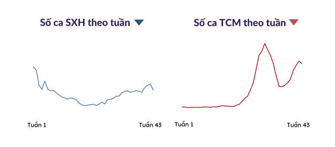 TP. Hồ Chí Minh: Số ca mắc tay chân miệng tăng, sốt ca sốt xuất huyết giảm