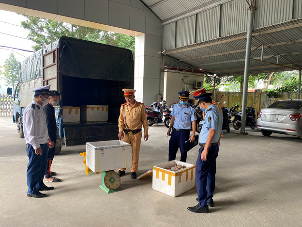Phú Thọ ngăn chặn đối tượng vận chuyển nội tạng động vật đông lạnh không rõ nguồn gốc, xuất xứ đang trên đường đi tiêu thụ