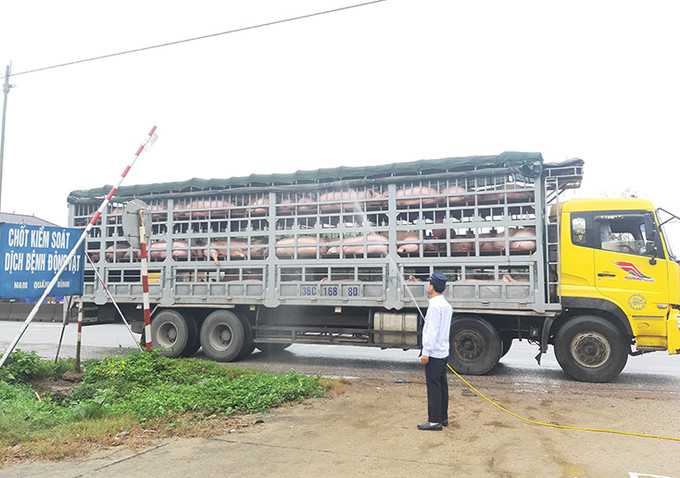Quảng Bình tăng cường triển khai công tác phòng, chống và báo cáo dịch bệnh động vật trên cạn