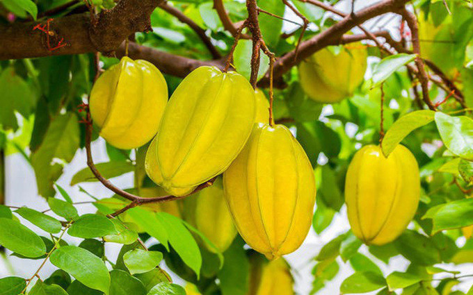 Loại trái cây giàu vitamin C tốt cho người đường huyết cao