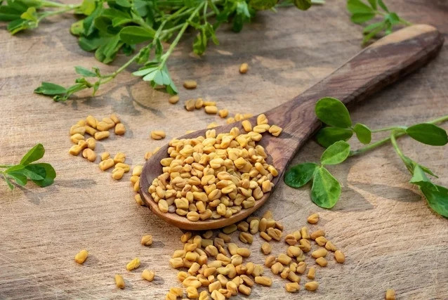 Tác dụng chữa bệnh của cỏ cà ri