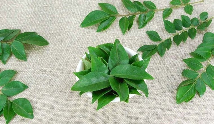 7 loại lá có thể giúp giảm lượng đường trong máu một cách tự nhiên