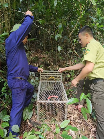 Quảng Bình thả 19 cá thể động vật hoang dã về môi trường tự nhiên