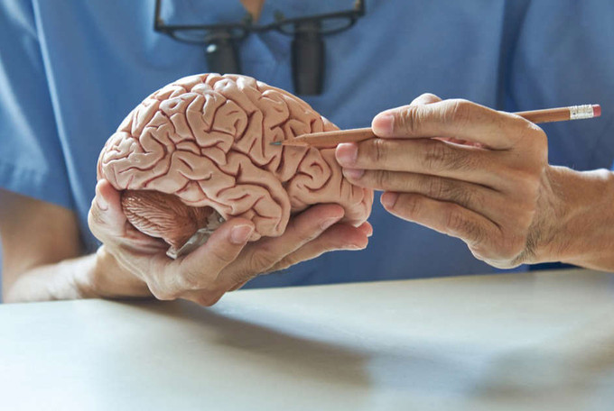 Sức khỏe đường ruột ảnh hưởng tới trí não ra sao?