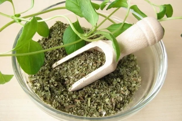 Tác dụng chữa bệnh của kinh giới
