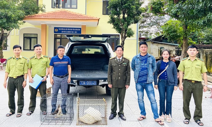 Quảng Bình: Bàn giao 2 cá thể động vật quý hiếm do người dân giao nộp