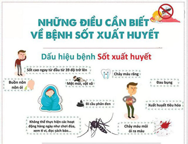 Quảng Bình: Huyện Bố Trạch ghi nhận 1.597 ca sốt xuất huyết ở 26/28 xã, thị trấn
