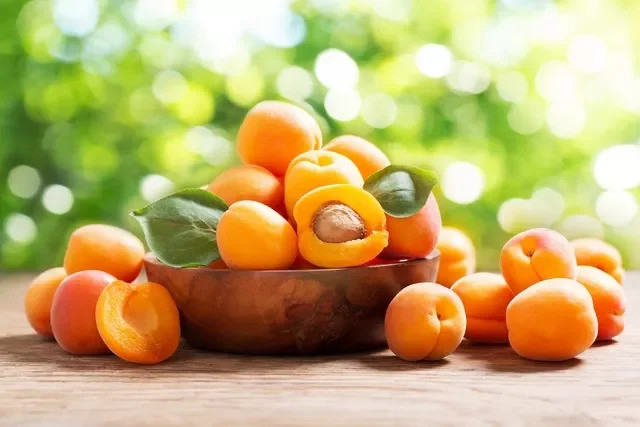 5 lợi ích của quả mơ