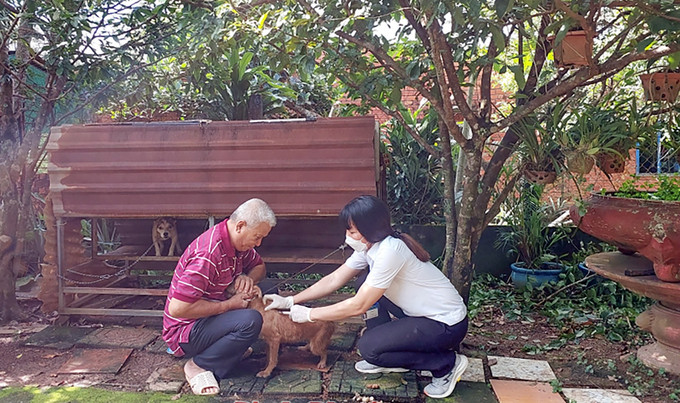 Bình Phước có 6 người tử vong do bị chó dại cắn