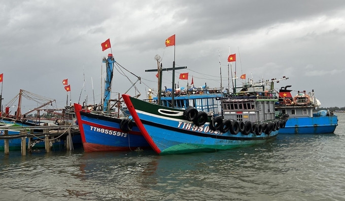Thừa Thiên Huế chủ động ứng phó với không khí lạnh, gió mạnh trên biển và mưa lớn