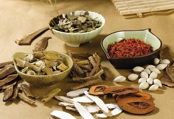 Bài thuốc hỗ trợ điều trị bệnh ung thư dương vật