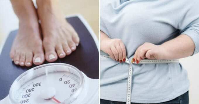 Thừa cân có thể đẩy nhanh tốc độ lão hóa não bộ