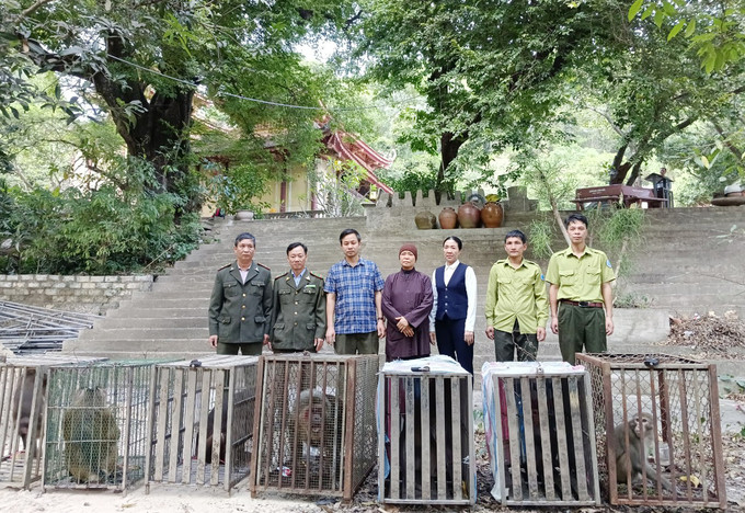 Lào Cai tiếp nhận 13 cá thể động vật hoang dã thuộc nhóm IB và IIB