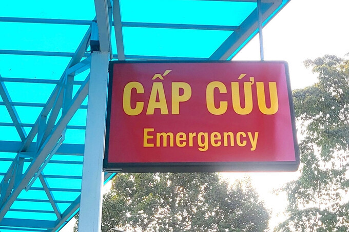 TP. Hồ Chí Minh xảy ra vụ ngộ độc cần sa, nghi ngờ do ăn bánh không rõ loại