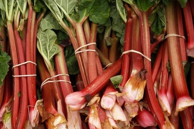 Tác dụng của đại hoàng