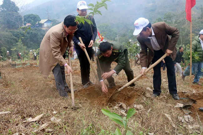 Lào Cai ban hành kế hoạch tổ chức phát động phong trào Tết trồng cây Xuân Giáp Thìn và trồng rừng năm 2024