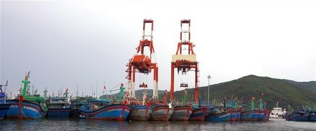 Bình Định kêu gọi tàu thuyền chủ động phòng, tránh áp thấp nhiệt đới