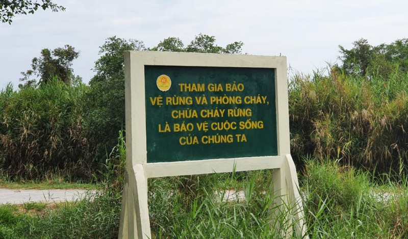 Cà Mau tăng cường các biện pháp cấp bách phòng cháy, chữa cháy rừng