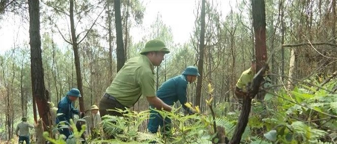 Đắk Lắk tăng cường các biện pháp cấp bách phòng cháy, chữa cháy rừng