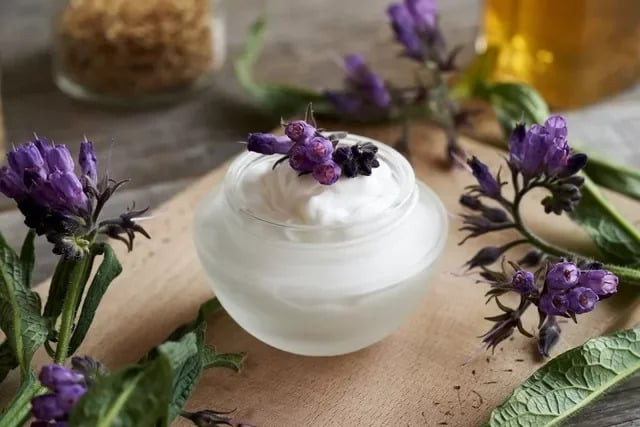 Tác dụng của cây thuốc comfrey