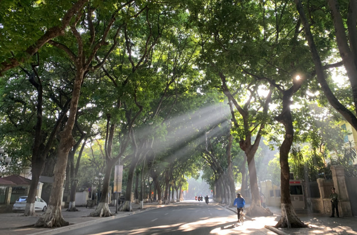 Dự báo thời tiết ngày 2/1/2024: Miền Bắc nhiều mây, sương mù, trưa có nắng