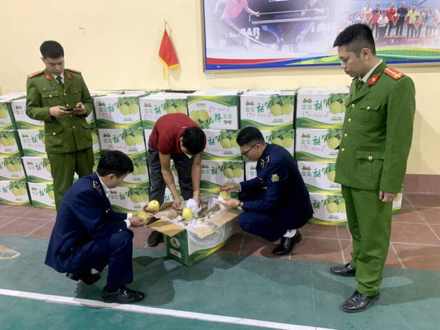 Thái Nguyên phát hiện hơn 1 tấn hoa quả nhập lậu không rõ nguồn gốc xuất xứ