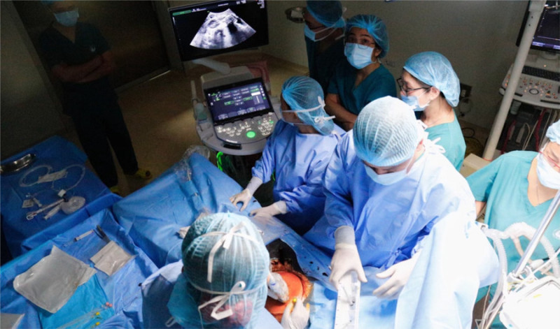 TP. Hồ Chí Minh: Cứu sống một bào thai bị dị tật tim bẩm sinh nặng bằng cách thông tim xuyên tử cung