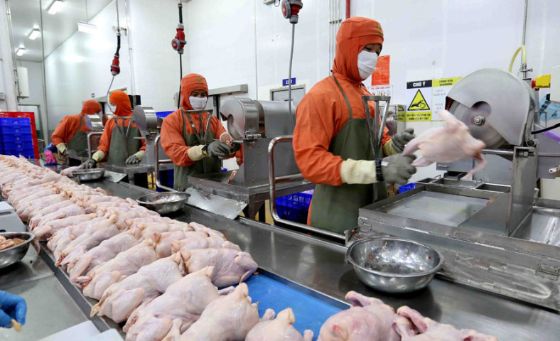 Đề án phát triển công nghiệp giết mổ, chế biến và thị trường sản phẩm chăn nuôi đến năm 2030