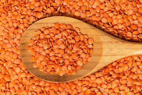 Những lý do mà bạn nên kết hợp đậu lăng vào chế độ ăn uống hàng ngày