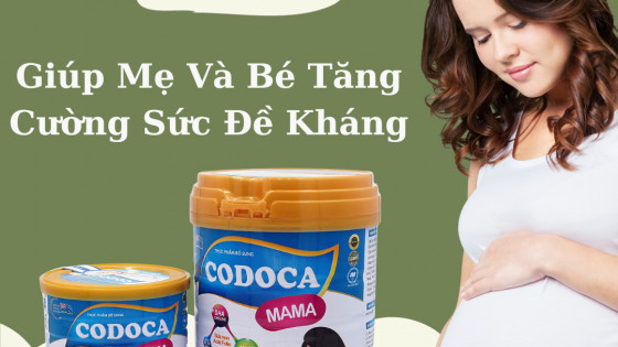 Vai trò của vitamin và khoáng chất đối với phụ nữ trước và trong khi mang thai