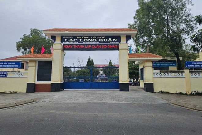 Phú Yên: Cây phượng đổ khiến 4 học sinh tiểu học bị thương
