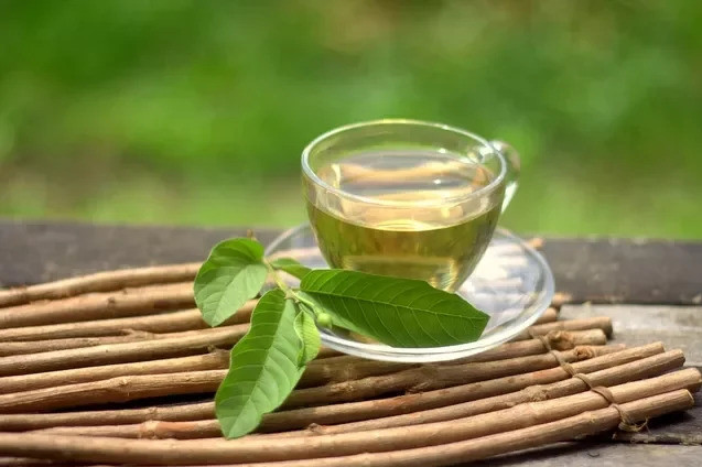 12 tác dụng của lá ổi