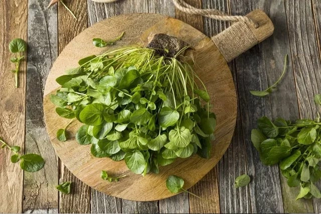 10 lợi ích của rau cải xoong