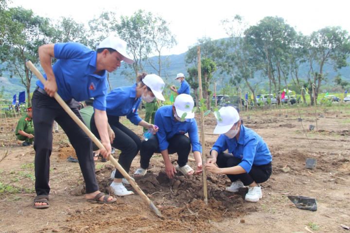 Khánh Hòa: Lễ phát động Tết trồng cây xuân Giáp Thìn 2024 sẽ diễn ra ngày 15/2