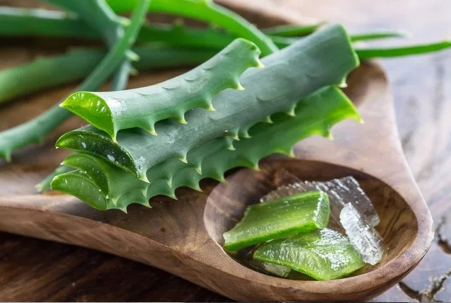 Lợi ích làm đẹp của nha đam