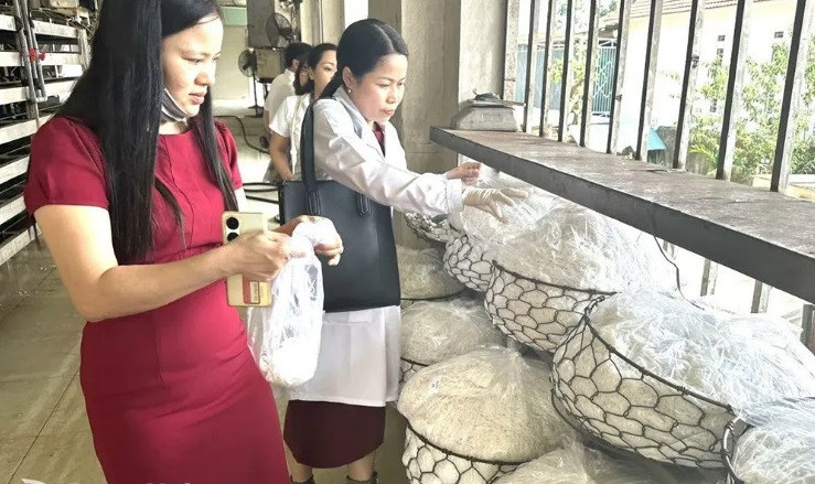 Sở Y tế Đồng Nai yêu cầu tăng cường các biện pháp phòng, chống ngộ độc thực phẩm