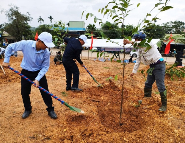 Quảng Ngãi tổ chức “Tết trồng cây” và tăng cường công tác quản lý bảo vệ, phát triển rừng