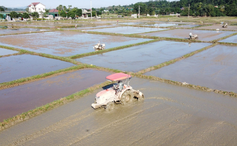 Hà Tĩnh chủ động ứng phó nguy cơ hạn hán, thiếu nước, xâm nhập mặn