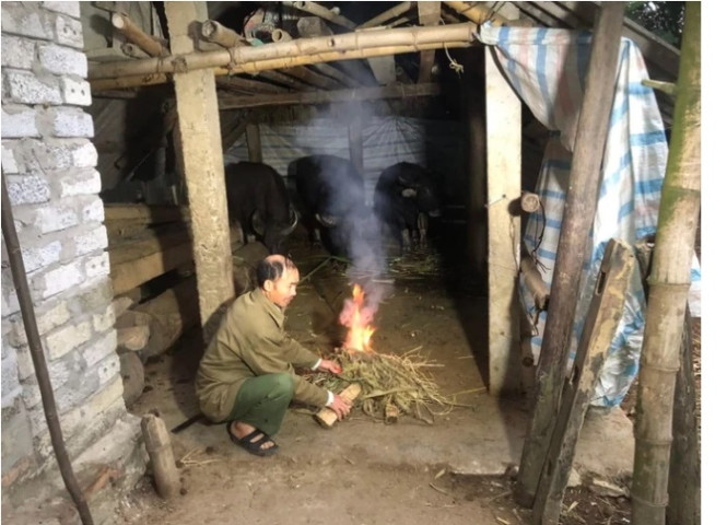 Hàng trăm gia súc chết cóng vì băng giá tại nhiều địa phương
