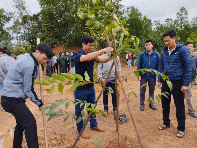 Quảng Bình phát động phong trào “Tết trồng cây đời đời nhớ ơn Bác Hồ” năm 2024