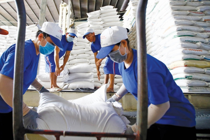 Xuất cấp gạo từ nguồn dự trữ quốc gia cho 3 tỉnh dịp Tết Nguyên đán Giáp Thìn 2024