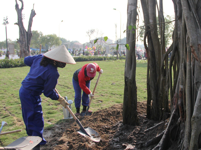 Bắc Giang phát động “Tết trồng cây đời đời nhớ ơn Bác Hồ” dịp Xuân Giáp Thìn năm 2024