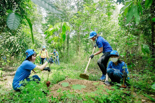 Đề án nâng cao chất lượng rừng nhằm bảo tồn hệ sinh thái rừng và phòng, chống thiên tai đến năm 2030